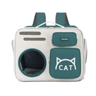 Рюкзак для переноски «Котик», прозрачный, 40×30×26 см, серо-зелёный - Фото 2