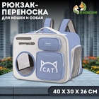 Рюкзак для переноски кошек и собак, прозрачный, 40 х 30 х 26 см, серо-фиолетовый 10574181 - фото 1759385