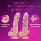 Насадка массажная ребристая с усиками, с вибростимуляцией клитора, силикон (комплект 3 шт) - фото 26006398 Насадка массажная ребристая с усиками, с вибростимуляцией клитора, силикон (комплект 3 шт) - фото 26006398