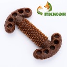 Игрушка для собак «Ключ», TPR+Бамбук, массажная, 12×3.5×5 см - Фото 1