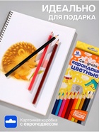 Карандаши Calligrata цветные, 12 цветов, деревянные, трёхгранные, в картонной коробке - Фото 2
