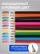 Карандаши Calligrata цветные, 12 цветов, деревянные, трёхгранные, в картонной коробке - Фото 3
