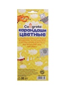 Карандаши Calligrata цветные, 12 цветов, деревянные, трёхгранные, в картонной коробке - Фото 10