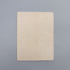 Искусственная кожа для тату и татуажа бровей, 19×14.5 см, бежевая - Фото 2