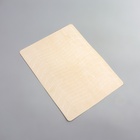 Искусственная кожа для тату и татуажа бровей, 19×14.5 см, бежевая - Фото 3