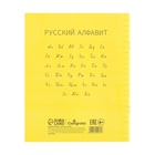 Тетрадь 12 л лин ЖЁЛТАЯ, пласт обл, с алфавитом, блок офсет 10200939 - фото 3258348