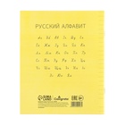 Тетрадь 18 листов линейку, пластиковая обложка, с алфавитом, желтая 10200946 - фото 3258355