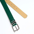 Ремень женский с винтом, 110×3.3 см, классическая пряжка металл, серебристая, зелёный - Фото 4