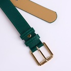 Ремень женский с винтом, 110×3 см, классическая пряжка металл, золотистая, зелёный - Фото 4