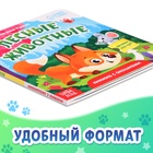 Книжка картонная с окошками «Лесные животные», 12 стр. - фото 5292374