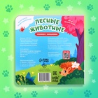 Книжка картонная с окошками «Лесные животные», 12 стр. - Фото 6