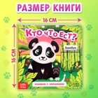 Книжка картонная с окошками «Кто что ест?», 12 стр. - фото 5292378