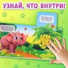 Книжка картонная с окошками «Кто что ест?», 12 стр. - Фото 4