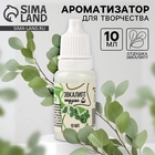 Ароматизатор для творчества «Эвкалипт», концентрированный, 10 мл - Фото 1