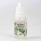 Ароматизатор для творчества «Эвкалипт», концентрированный, 10 мл - Фото 2