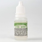 Ароматизатор для творчества «Эвкалипт», концентрированный, 10 мл - Фото 3