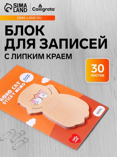 Блок для записей 35×70 мм, 30 листов «Рыжий котик»