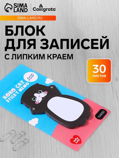 Блок для записей 35×70 мм, «черно - белый котик», 30 листов