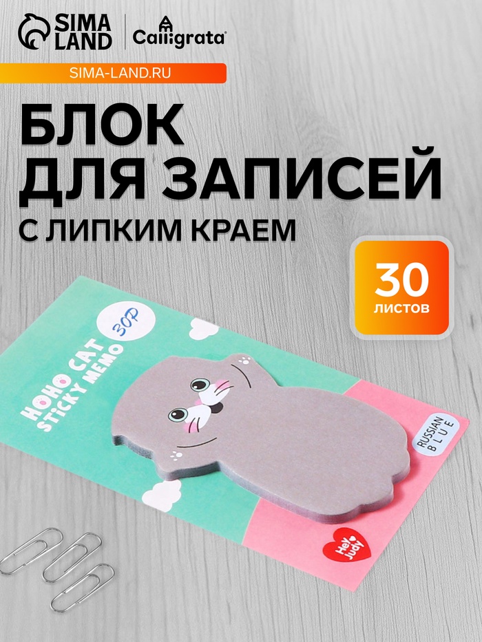 Блок для записей 35×70 мм, «Серый котик», 30 листов - Фото 1