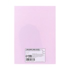 Блок для записей, 45 мм × 75 мм «Лапка», 30 листов - Фото 4