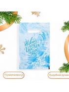 Пакет подарочный новогодний «Морозный узор», полиэтиленовый с вырубной ручкой, 20×30 см, 30 мкм - Фото 1