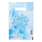 Пакет подарочный новогодний «Морозный узор», полиэтиленовый с вырубной ручкой, 20×30 см, 30 мкм - Фото 2