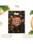 Пакет подарочный новогодний «Волшебного и сказочного нового года», полиэтиленовый с вырубной ручкой, 30×40 см, 5 - Фото 1