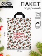 Пакет подарочный новогодний «Новогодний стиль», полиэтиленовый с петлевой ручкой 28×35, 50 мкм - Фото 1