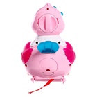 УЦЕНКА Развивающая игрушка «Курочка», световые и звуковые эффекты, несёт яйца, МИКС - Фото 4