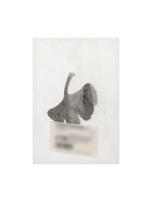 Ручка-кнопка CAPPIO PRO "Листок" 54 x 50  мм, цвет черный - фото 809569984