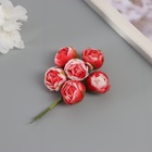 Декор для творчества "Пионы" бело-красные (1 набор=1 букет) в букете 6 шт 2,5х10,5 см (комплект 10 шт) - фото 26215875