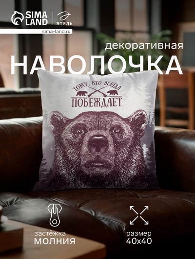 Наволочка декоративная «Этель. Победитель», 40×40 см, велюр