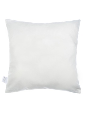 Наволочка декоративная «Этель. Победитель», 40×40 см, велюр