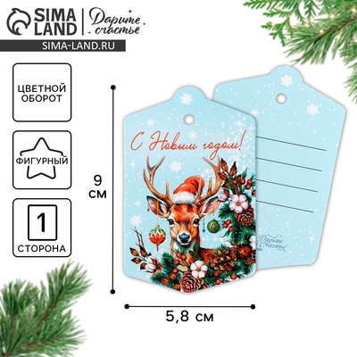 Шильдик на подарок «С Новым годом!», 5.5×9 см