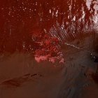 Копилка "Такса" 35х19см - фото 26395188