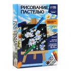 Рисование пастелью c холстом на подрамнике «Ромашки», набор для творчества 10291578 - фото 13453780