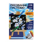 Рисование пастелью c холстом на подрамнике «Ромашки», набор для творчества - фото 26183810