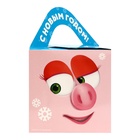 Сладкий новогодний подарок «Смешарики», детский, 500 г - Фото 3