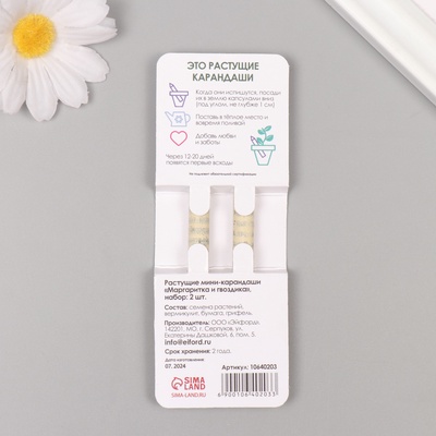 Набор для выращивания, карандаши подарочные «Маргаритка + гвоздика», mini, простые чернографитные, 2 шт.