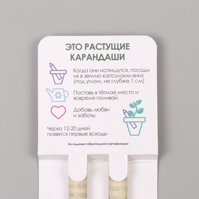 Набор для выращивания, карандаши подарочные «Маргаритка + гвоздика», mini, простые чернографитные, 2 шт.