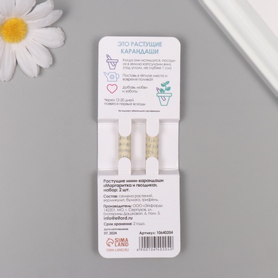 Набор для выращивания, карандаши подарочные «Маргаритка + гвоздика», mini, простые чернографитные, 2 шт.