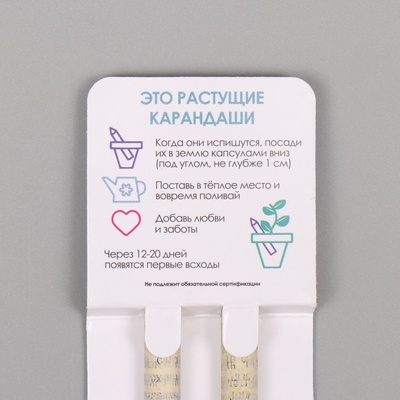 Набор для выращивания, карандаши подарочные «Маргаритка + гвоздика», mini, простые чернографитные, 2 шт.