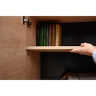 Комод для хранения «Брюс», двери с доводчиками, 1134×383×856 мм 10815631