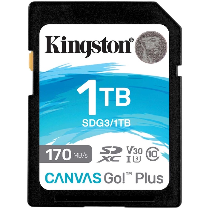 Карта памяти SDXC Kingston SDG3/1TB, 1 TB, Canvas Go! Plus w/o - Фото 1