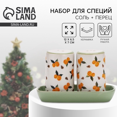 Солонка и перечница новогодние «Апельсины», 12×6.5×7 см, ручная работа