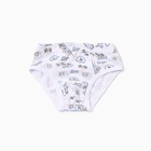 Трусы для мальчика 7113/7114, цвет микс, р-р 28 - фото 26731469