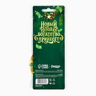 Ароматизатор для машины новогодний «Счастливый рубль», на Новый год, свежесть (комплект 2 шт) - фото 30079172