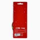 Ароматизатор для машины новогодний «Удачи на дорогах», на Новый год, яблоко (комплект 2 шт) - фото 32658653