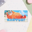 Конверт для денег "Кайфуй!" кот, 17 х 8 см (комплект 10 шт) - фото 26429123