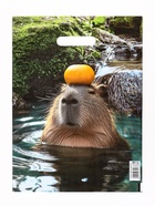 Подарочный набор пакетов «В мире животных» 30×40 см, 50 мкм набор 5 шт. - фото 41506668